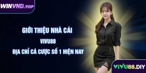 giới thiệu nhà cái vivu88