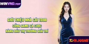 giới thiệu TD88